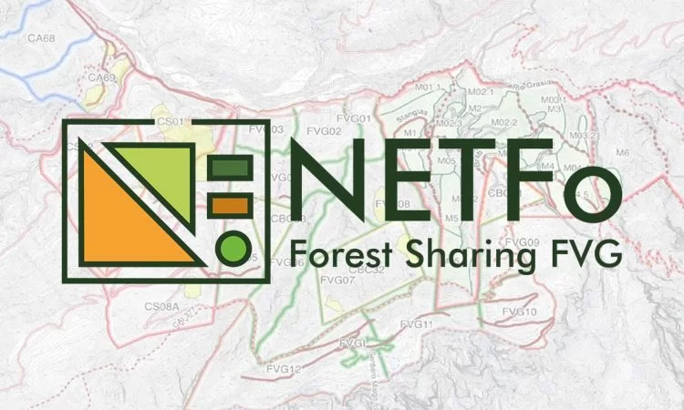 ForestSharing FVG: una piattaforma per promuovere la "gestione forestale collaborativa"